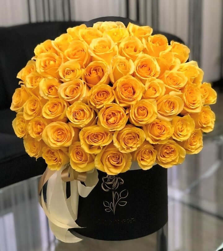 YELLOW EMPEROR