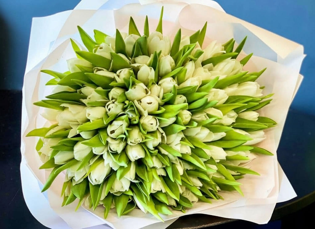 150 WHITE TULIPS BOUQUET