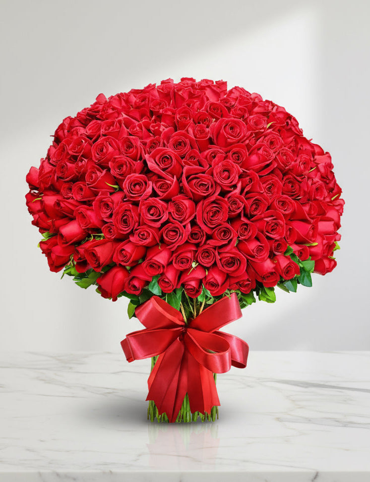 Bouquet of 365 red roses with a red bow on a light white background
