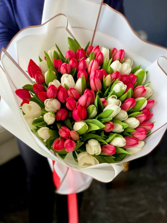 75 TULIPS (WHITE AND RED)