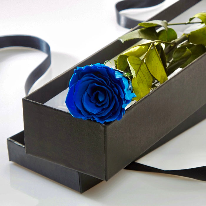 PRESERVED ROSE IN BOX (Blue)