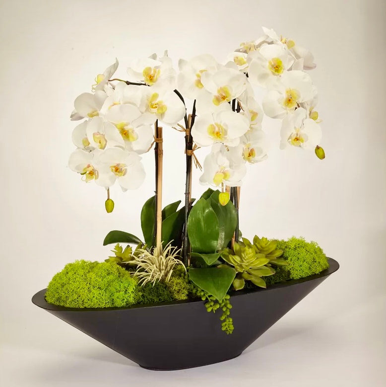 WHITE ORCHID 6-Stems