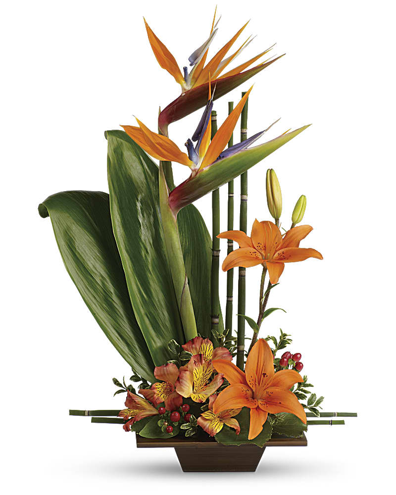 Tropical Vibes Bouquet - Exotic Flowers and Foliage in Vancouver