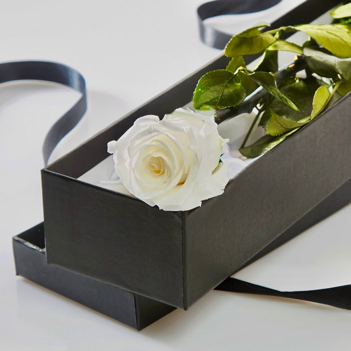 PRESERVED ROSE IN BOX (White)