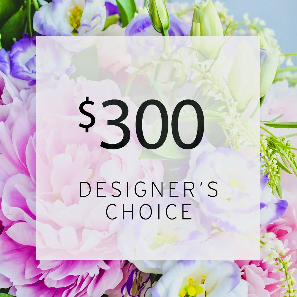 DESIGNER’S CHOICE $300